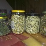 Homemade herbal and flower teas